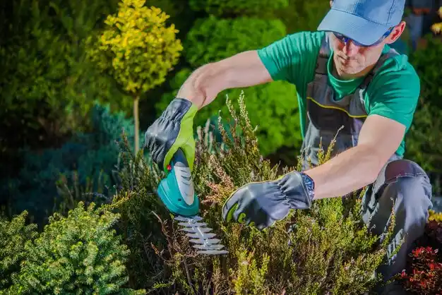 landscaping services Carp Lake
